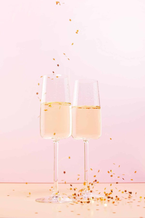 Quels sont les avantages de camper avec des chiens et comment les préparer ?