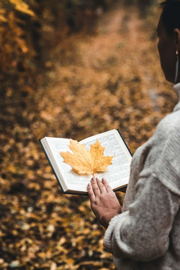 Comment participer à des événements de poésie et des slams sans achat obligatoire dans les cafés littéraires ?